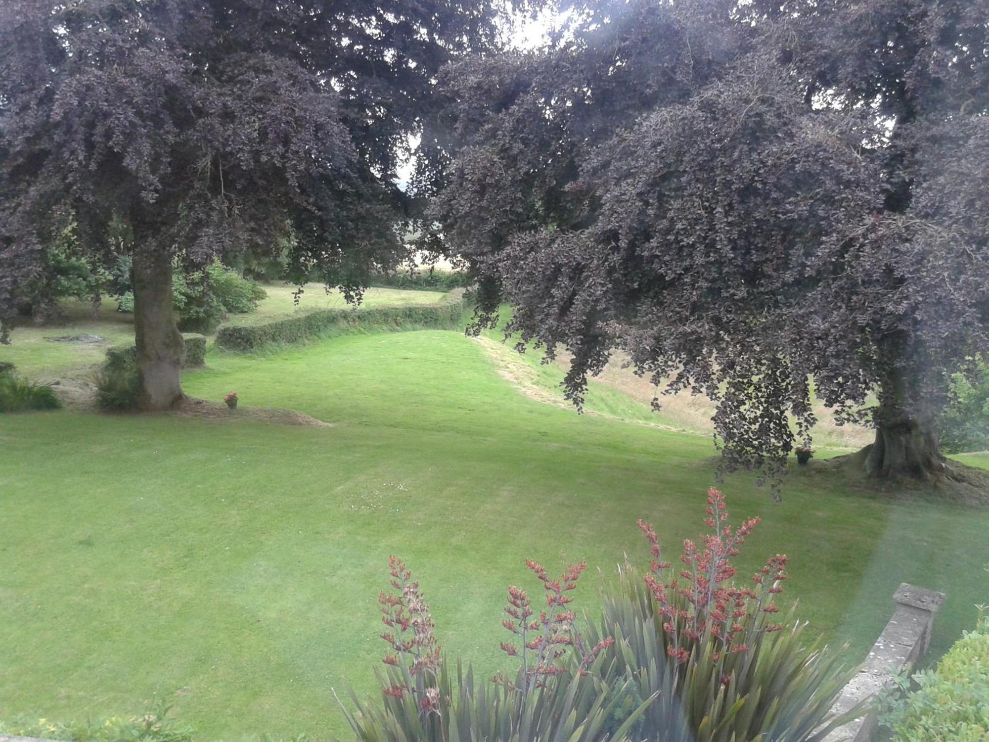 Buckley Farmhouse B & B Sidmouth Δωμάτιο φωτογραφία