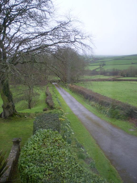 Buckley Farmhouse B & B Sidmouth Εξωτερικό φωτογραφία