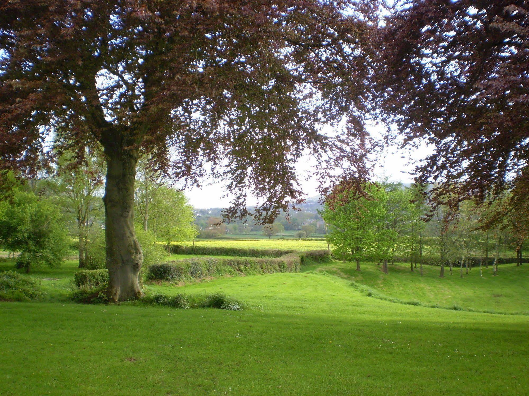Buckley Farmhouse B & B Sidmouth Εξωτερικό φωτογραφία