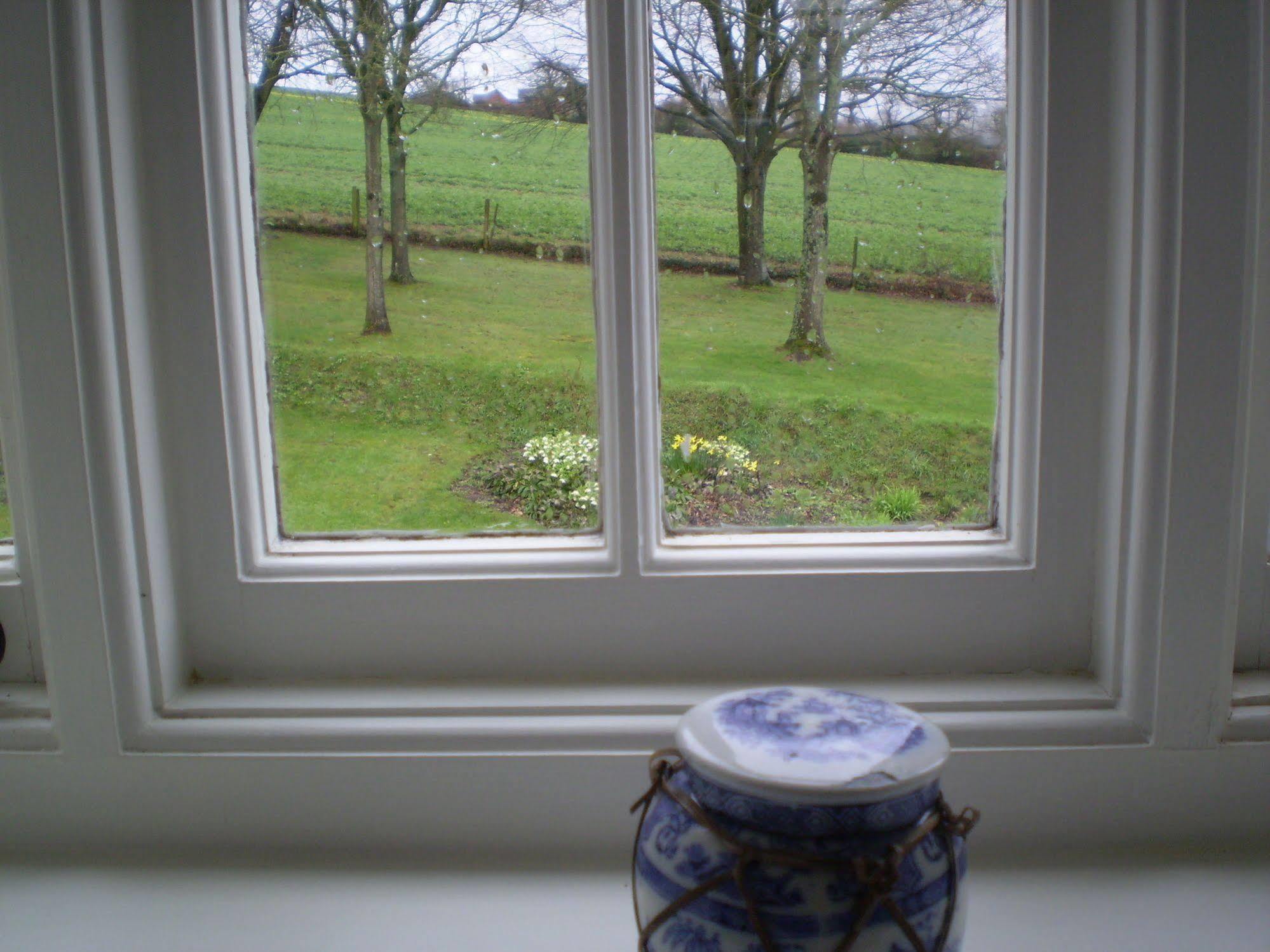 Buckley Farmhouse B & B Sidmouth Εξωτερικό φωτογραφία
