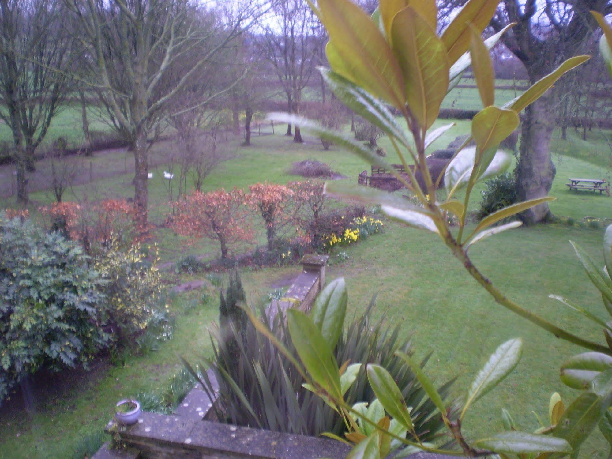 Buckley Farmhouse B & B Sidmouth Εξωτερικό φωτογραφία
